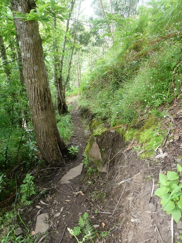 03.07.2018 Rundtour von Boaventura über die Ribeira dos Moinhos nach Achada da Madeira und zurück über die Levada da Achada Grande — Abstieg nach Achada da Madeira — Foto 16
