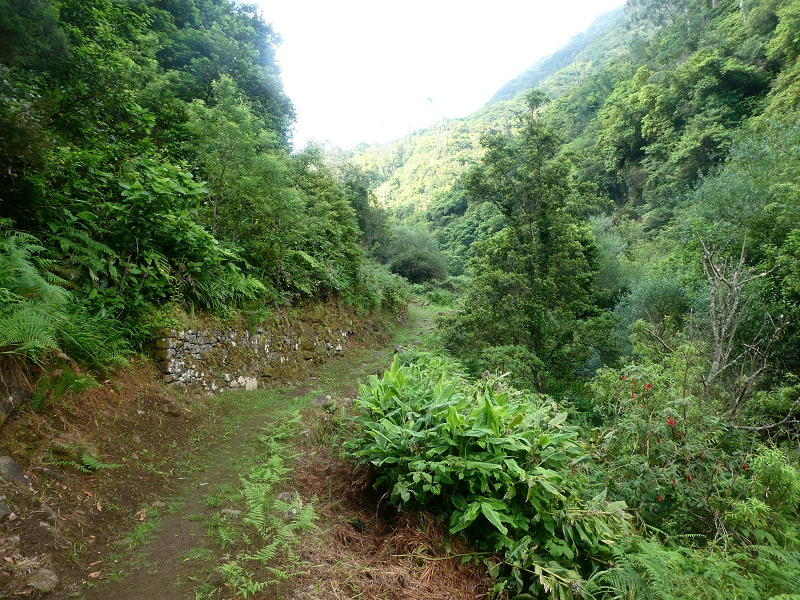 03.07.2018 Rundtour von Boaventura über die Ribeira dos Moinhos nach Achada da Madeira und zurück über die Levada da Achada Grande — Von Rocada zur Madre der Levada da Achada Grande — Foto 6