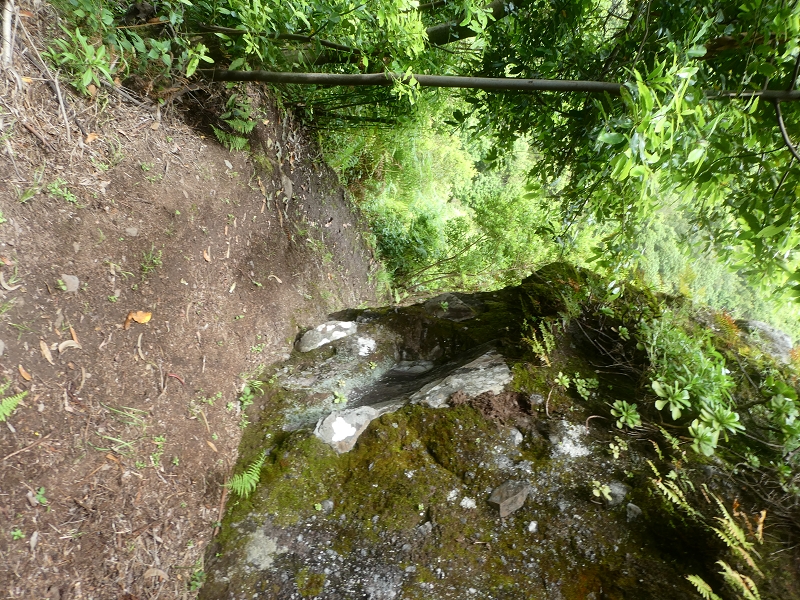 03.07.2018 Rundtour von Boaventura über die Ribeira dos Moinhos nach Achada da Madeira und zurück über die Levada da Achada Grande — Abstieg nach Achada da Madeira — Foto 20