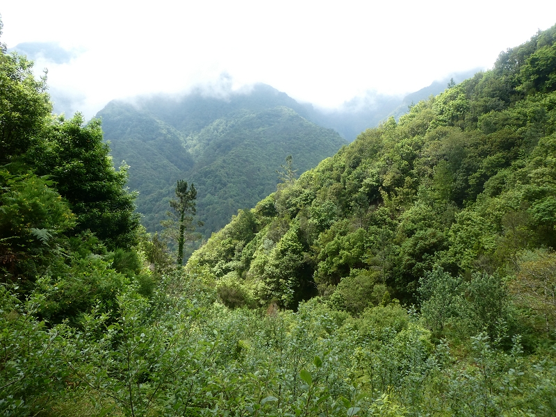 03.07.2018 Rundtour von Boaventura über die Ribeira dos Moinhos nach Achada da Madeira und zurück über die Levada da Achada Grande — Abstieg nach Achada da Madeira — Foto 21