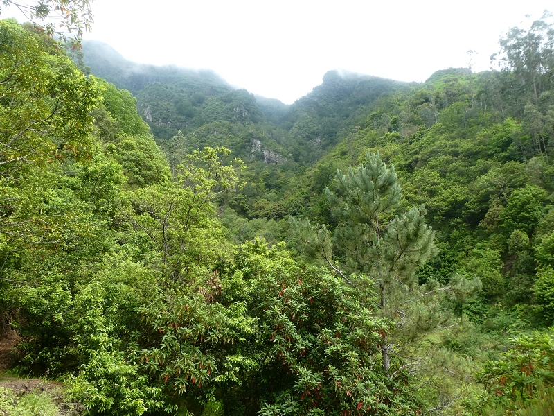 03.07.2018 Rundtour von Boaventura über die Ribeira dos Moinhos nach Achada da Madeira und zurück über die Levada da Achada Grande — Abstieg nach Achada da Madeira — Foto 23