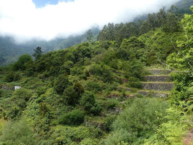 03.07.2018 Rundtour von Boaventura über die Ribeira dos Moinhos nach Achada da Madeira und zurück über die Levada da Achada Grande — Abstieg nach Achada da Madeira — Foto 25