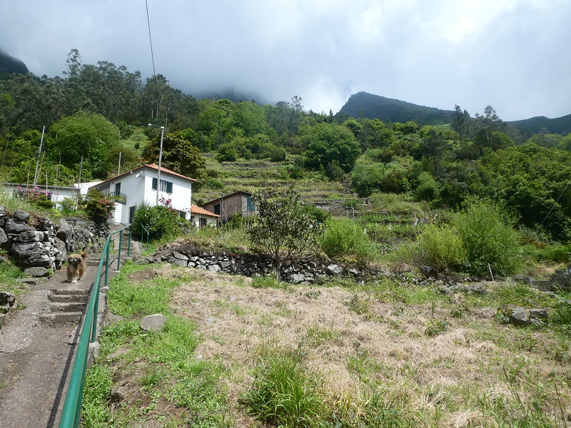03.07.2018 Rundtour von Boaventura über die Ribeira dos Moinhos nach Achada da Madeira und zurück über die Levada da Achada Grande — Abstieg nach Achada da Madeira — Foto 29