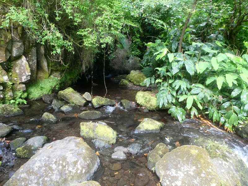 03.07.2018 Rundtour von Boaventura über die Ribeira dos Moinhos nach Achada da Madeira und zurück über die Levada da Achada Grande — Von Rocada zur Madre der Levada da Achada Grande — Foto 7