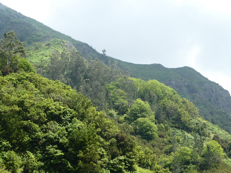 03.07.2018 Rundtour von Boaventura über die Ribeira dos Moinhos nach Achada da Madeira und zurück über die Levada da Achada Grande — Abstieg nach Lombo do Urzal — Foto 2