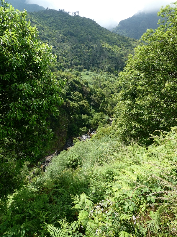 03.07.2018 Rundtour von Boaventura über die Ribeira dos Moinhos nach Achada da Madeira und zurück über die Levada da Achada Grande — Abstieg nach Lombo do Urzal — Foto 6