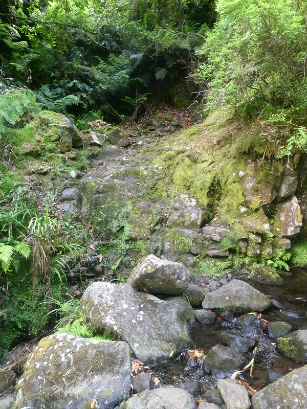 03.07.2018 Rundtour von Boaventura über die Ribeira dos Moinhos nach Achada da Madeira und zurück über die Levada da Achada Grande — Von Rocada zur Madre der Levada da Achada Grande — Foto 8