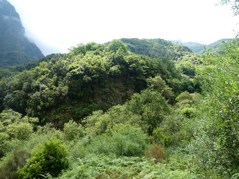 03.07.2018 Rundtour von Boaventura über die Ribeira dos Moinhos nach Achada da Madeira und zurück über die Levada da Achada Grande — Auf dem CR20 zur Brücke in der Ribeira do Porco — Foto 2