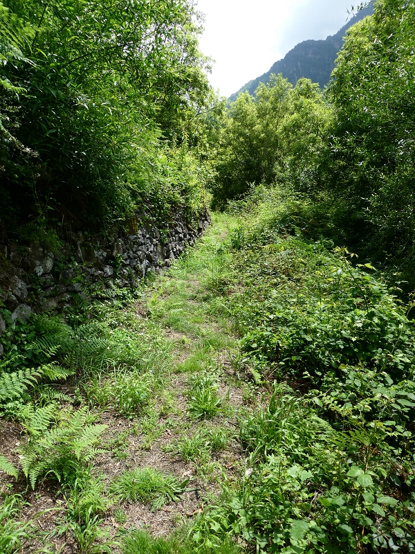 03.07.2018 Rundtour von Boaventura über die Ribeira dos Moinhos nach Achada da Madeira und zurück über die Levada da Achada Grande — Auf dem CR20 zur Brücke in der Ribeira do Porco — Foto 4