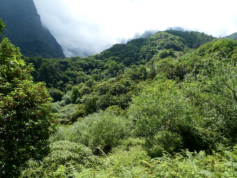 03.07.2018 Rundtour von Boaventura über die Ribeira dos Moinhos nach Achada da Madeira und zurück über die Levada da Achada Grande — Auf dem CR20 zur Brücke in der Ribeira do Porco — Foto 5