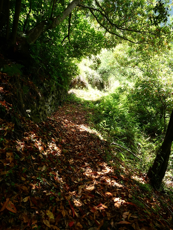 03.07.2018 Rundtour von Boaventura über die Ribeira dos Moinhos nach Achada da Madeira und zurück über die Levada da Achada Grande — Auf dem CR20 zur Brücke in der Ribeira do Porco — Foto 6