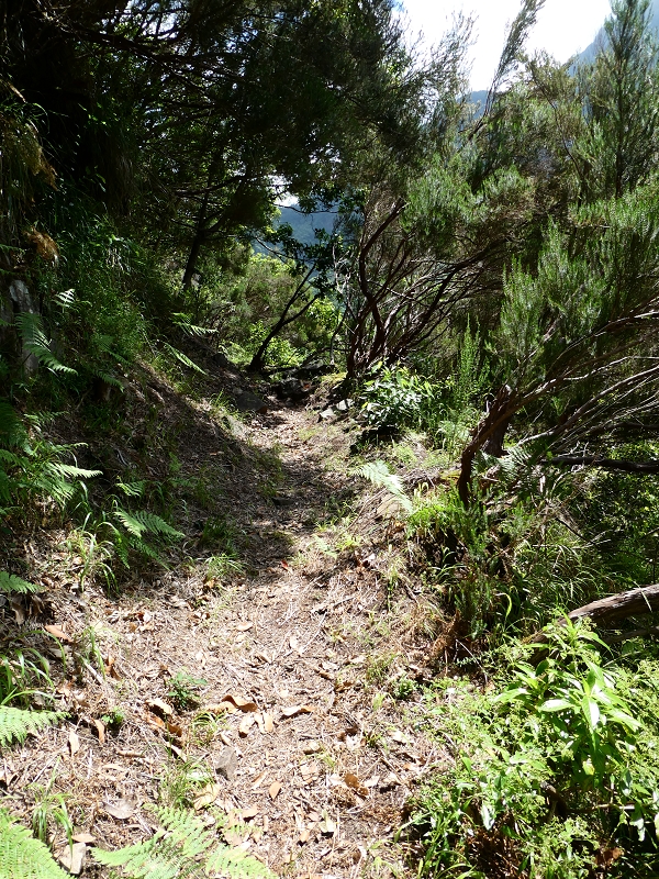 03.07.2018 Rundtour von Boaventura über die Ribeira dos Moinhos nach Achada da Madeira und zurück über die Levada da Achada Grande — Auf dem CR20 zur Brücke in der Ribeira do Porco — Foto 8