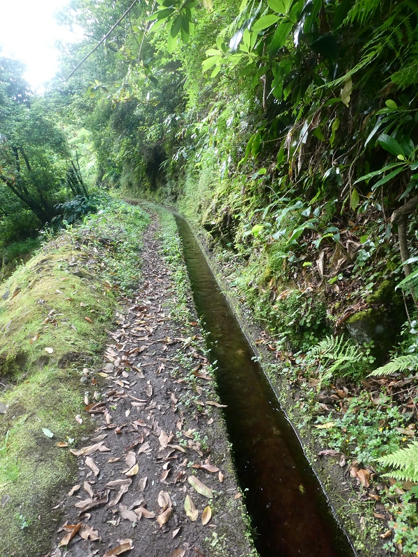 03.07.2018 Rundtour von Boaventura über die Ribeira dos Moinhos nach Achada da Madeira und zurück über die Levada da Achada Grande — Von Rocada zur Madre der Levada da Achada Grande — Foto 9