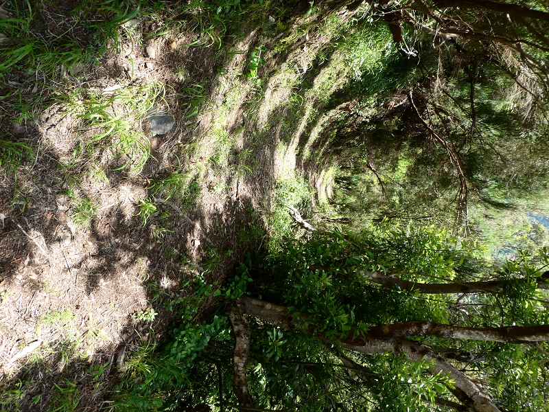 03.07.2018 Rundtour von Boaventura über die Ribeira dos Moinhos nach Achada da Madeira und zurück über die Levada da Achada Grande — Auf dem CR20 zur Brücke in der Ribeira do Porco — Foto 11