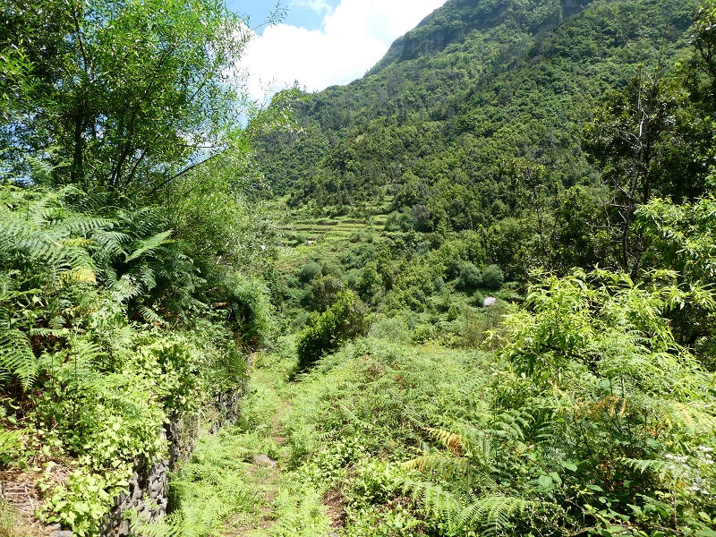03.07.2018 Rundtour von Boaventura über die Ribeira dos Moinhos nach Achada da Madeira und zurück über die Levada da Achada Grande — Auf dem CR20 zur Brücke in der Ribeira do Porco — Foto 13