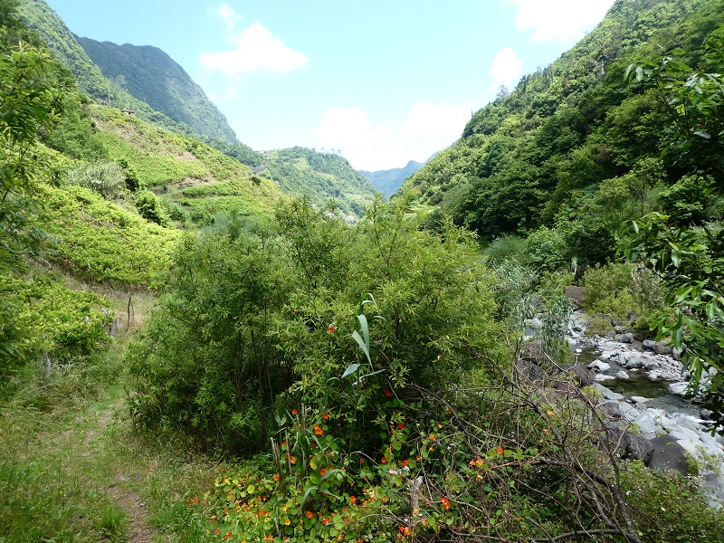 03.07.2018 Rundtour von Boaventura über die Ribeira dos Moinhos nach Achada da Madeira und zurück über die Levada da Achada Grande — Auf dem CR20 zur Brücke in der Ribeira do Porco — Foto 14