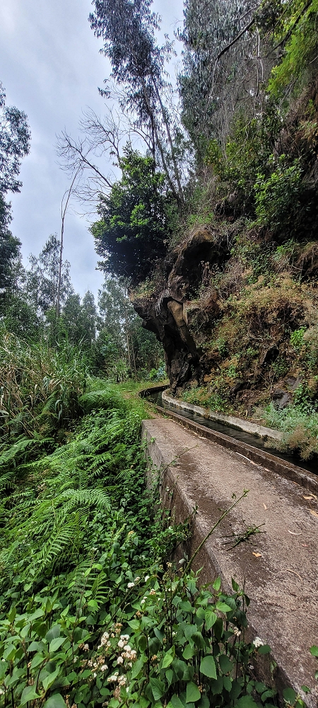 Levada Nova — Zum Ende der grossen Schluchtpassage — Foto 3