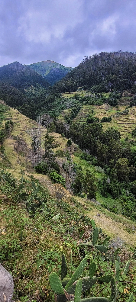 3 de julho de 2022 Caminhada alternativa na Levada Nova entre Calheta e Prazeres — Até ao Lombo da Estrela — foto 1