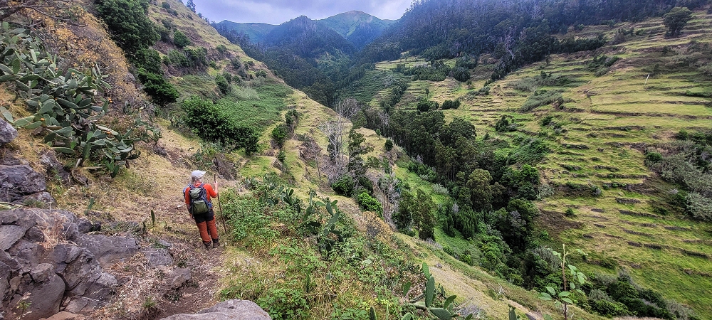 3 de julho de 2022 Caminhada alternativa na Levada Nova entre Calheta e Prazeres — Até ao Lombo da Estrela — foto 2