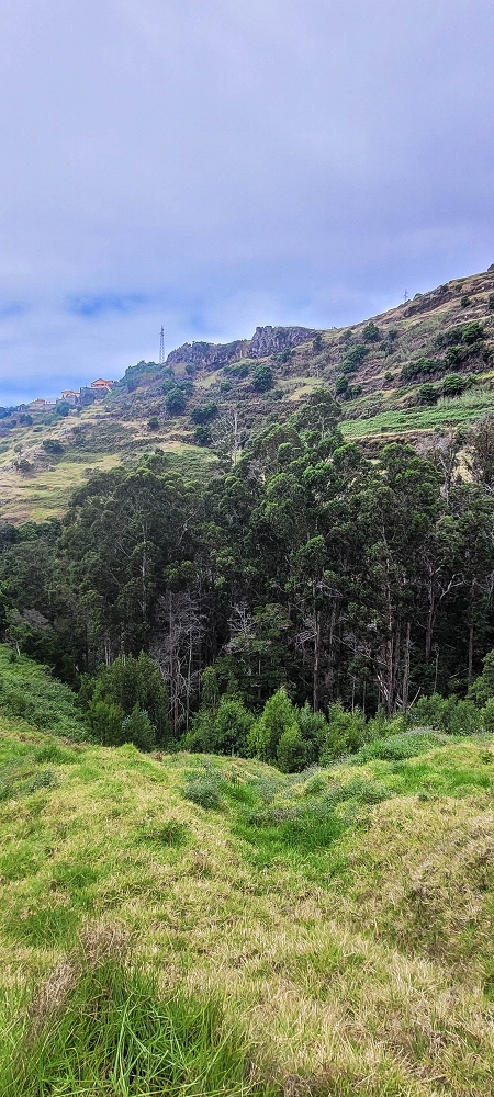 3 de julho de 2022 Caminhada alternativa na Levada Nova entre Calheta e Prazeres — Até ao Lombo da Estrela — foto 6