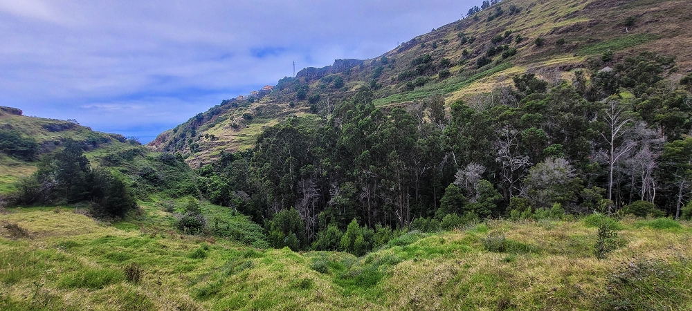 3 de julho de 2022 Caminhada alternativa na Levada Nova entre Calheta e Prazeres — Até ao Lombo da Estrela — foto 7