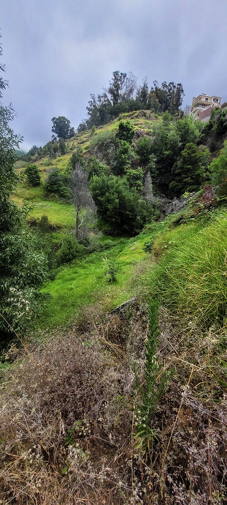 3 de julho de 2022 Caminhada alternativa na Levada Nova entre Calheta e Prazeres — Até ao Lombo da Estrela — foto 9