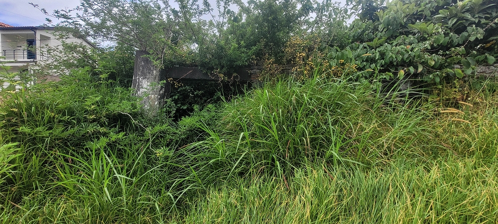 3 de julho de 2022 Caminhada alternativa na Levada Nova entre Calheta e Prazeres — Do Lombo da Estrela ao Lombo do Salao — foto 2