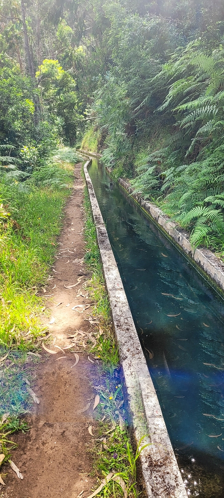 Levada Nova — Bis zur östlichen Passage der Ribeira do Raposo — Foto 4