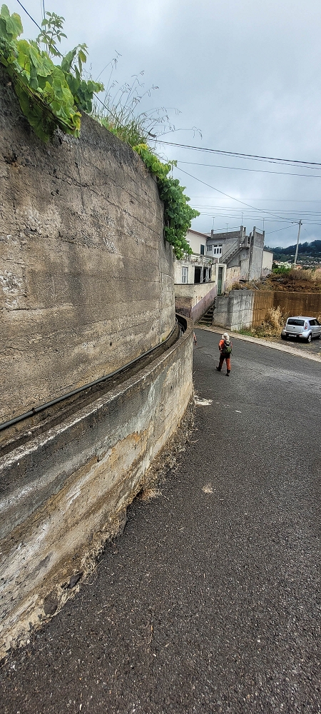 3 de julho de 2022 Caminhada alternativa na Levada Nova entre Calheta e Prazeres — Lombo do Salao e regresso ao ponto de partida — foto 2