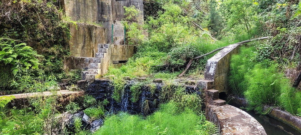Levada Nova — Bis zur östlichen Passage der Ribeira do Raposo — Foto 5