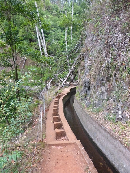 03.08.2012 Levada da Ribeira da Janela — Von Lamaceiros bis zum Bachübergang mit dem Wellblechdach — Foto 14