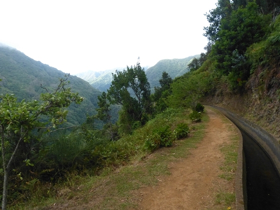 03.08.2012 Levada da Ribeira da Janela — Von Lamaceiros bis zum Bachübergang mit dem Wellblechdach — Foto 17