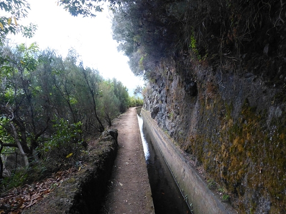 03.08.2012 Levada da Ribeira da Janela — Von Lamaceiros bis zum Bachübergang mit dem Wellblechdach — Foto 18