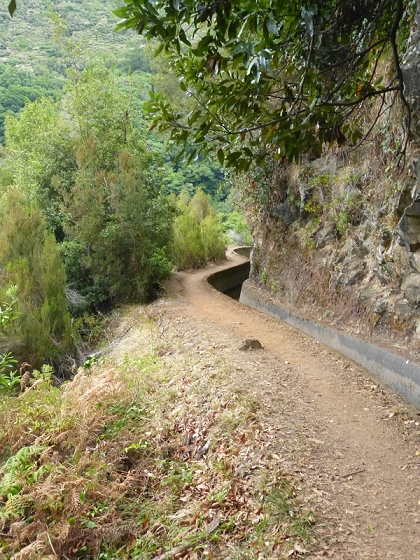 03.08.2012 Levada da Ribeira da Janela — Von Lamaceiros bis zum Bachübergang mit dem Wellblechdach — Foto 21