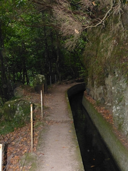 03.08.2012 Levada da Ribeira da Janela — Von Lamaceiros bis zum Bachübergang mit dem Wellblechdach — Foto 22