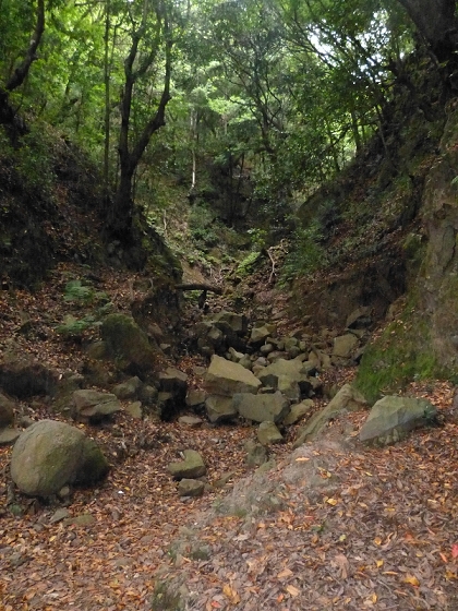 03.08.2012 Levada da Ribeira da Janela — Von Lamaceiros bis zum Bachübergang mit dem Wellblechdach — Foto 24