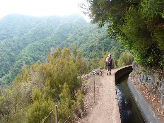 03.08.2012 Levada da Ribeira da Janela — Von Lamaceiros bis zum Bachübergang mit dem Wellblechdach — Foto 28