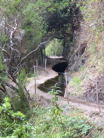 03.08.2012 Levada da Ribeira da Janela — Von Lamaceiros bis zum Bachübergang mit dem Wellblechdach — Foto 29