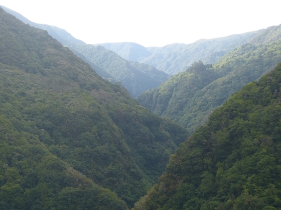 03.08.2012 Levada da Ribeira da Janela — Von Lamaceiros bis zum Bachübergang mit dem Wellblechdach — Foto 30