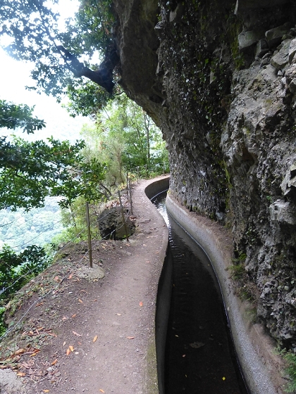 03.08.2012 Levada da Ribeira da Janela — Von Lamaceiros bis zum Bachübergang mit dem Wellblechdach — Foto 31
