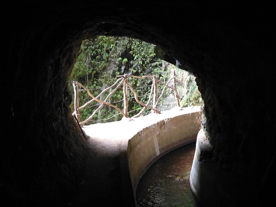 03.08.2012 Levada da Ribeira da Janela — Von Lamaceiros bis zum Bachübergang mit dem Wellblechdach — Foto 33