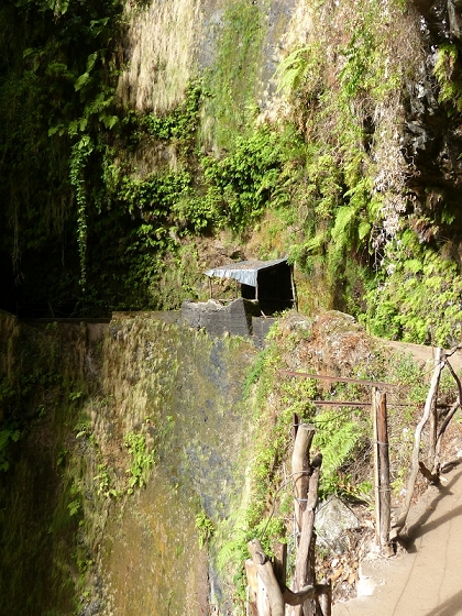 03.08.2012 Levada da Ribeira da Janela — Von Lamaceiros bis zum Bachübergang mit dem Wellblechdach — Foto 34