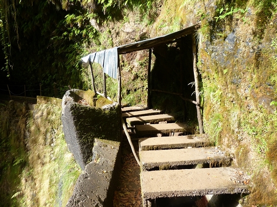 03.08.2012 Levada da Ribeira da Janela — Von Lamaceiros bis zum Bachübergang mit dem Wellblechdach — Foto 35