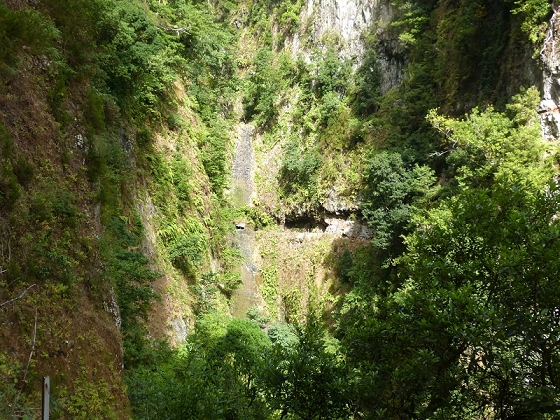 03.08.2012 Levada da Ribeira da Janela — Bis zur zweiten Madre — Foto 1
