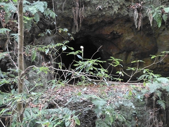 03.08.2012 Levada da Ribeira da Janela — Bis zur zweiten Madre — Foto 3