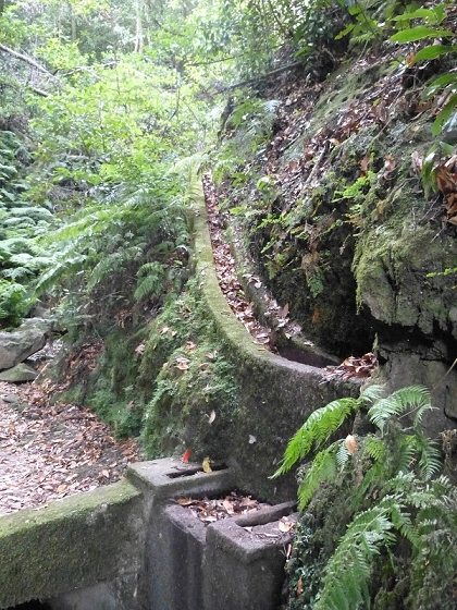 03.08.2012 Levada da Ribeira da Janela — Bis zur zweiten Madre — Foto 4