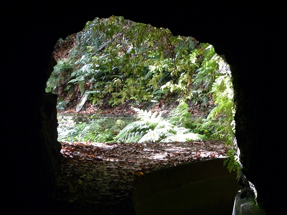 03.08.2012 Levada da Ribeira da Janela — Bis zur zweiten Madre — Foto 6