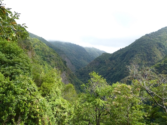 03.08.2012 Levada da Ribeira da Janela — Bis zur zweiten Madre — Foto 7