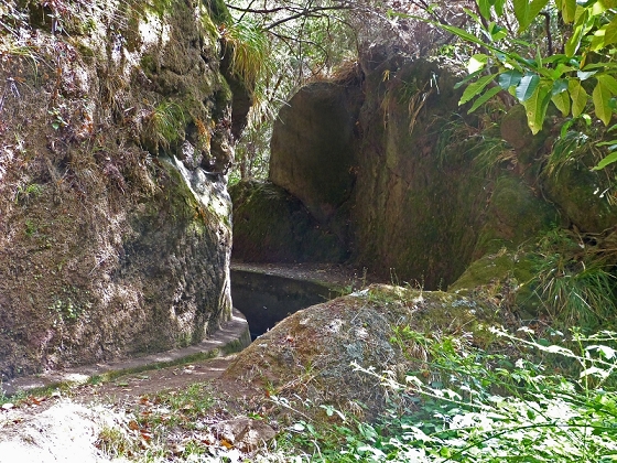 03.08.2012 Levada da Ribeira da Janela — Bis zur zweiten Madre — Foto 9