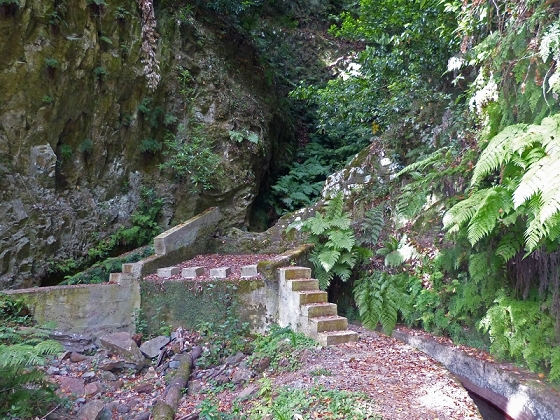 03.08.2012 Levada da Ribeira da Janela — Bis zur zweiten Madre — Foto 10